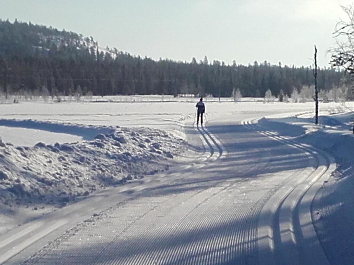 Arctic River Chalet Rovaniemi Bagian luar foto