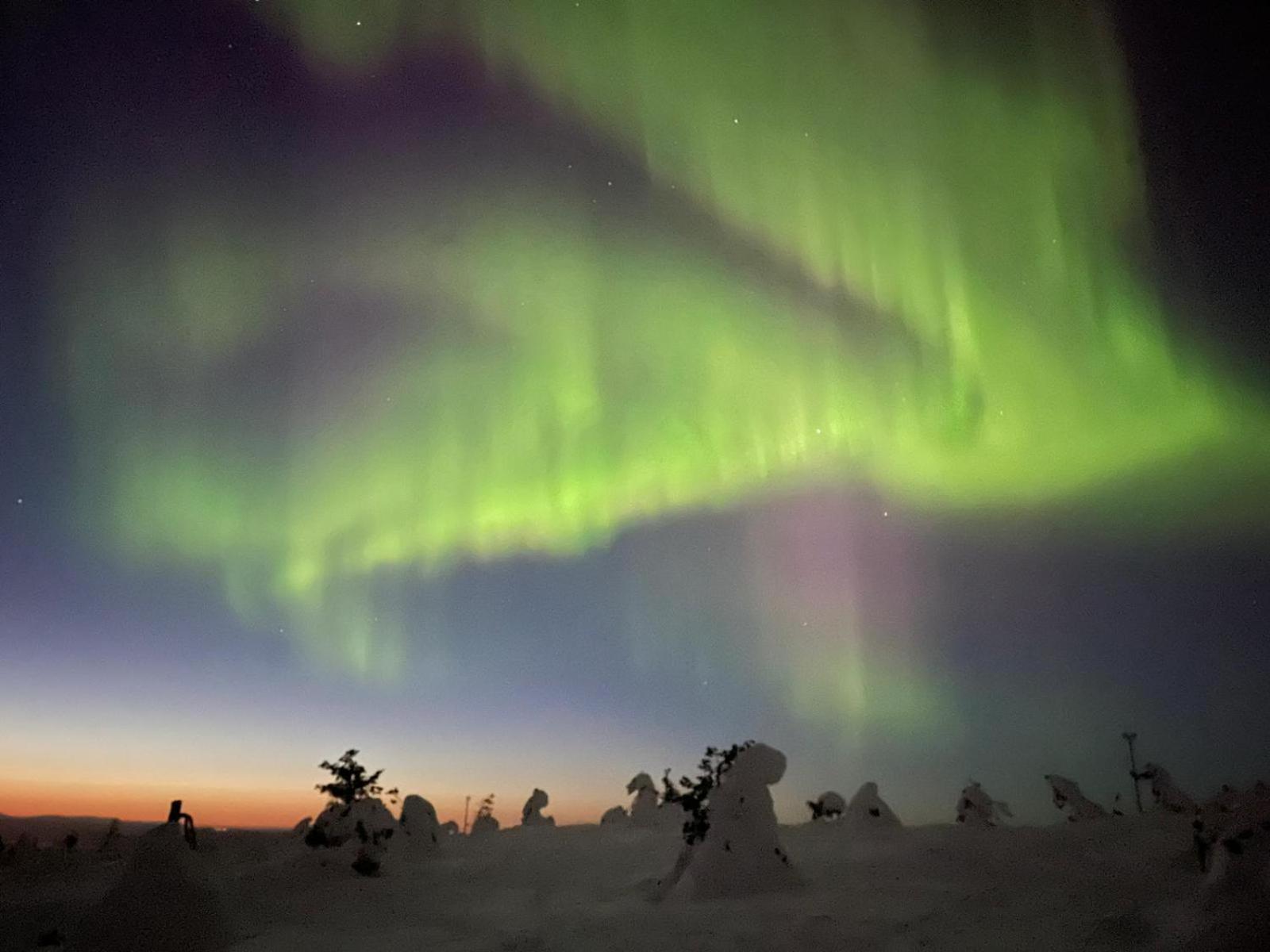 Arctic River Chalet Rovaniemi Bagian luar foto