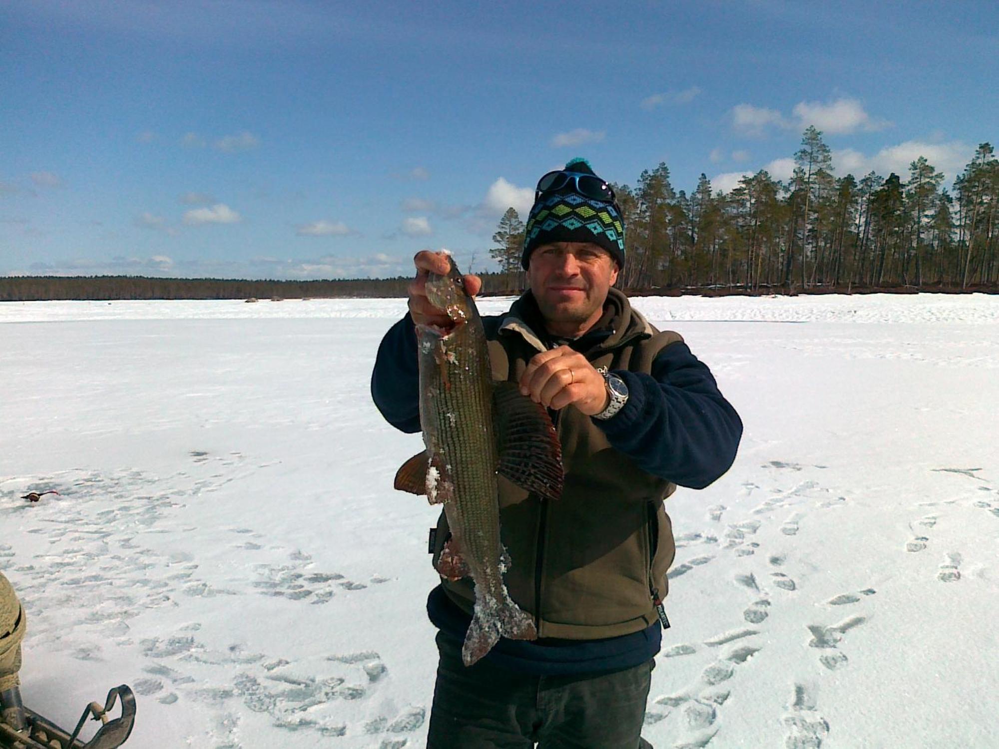Arctic River Chalet Rovaniemi Bagian luar foto