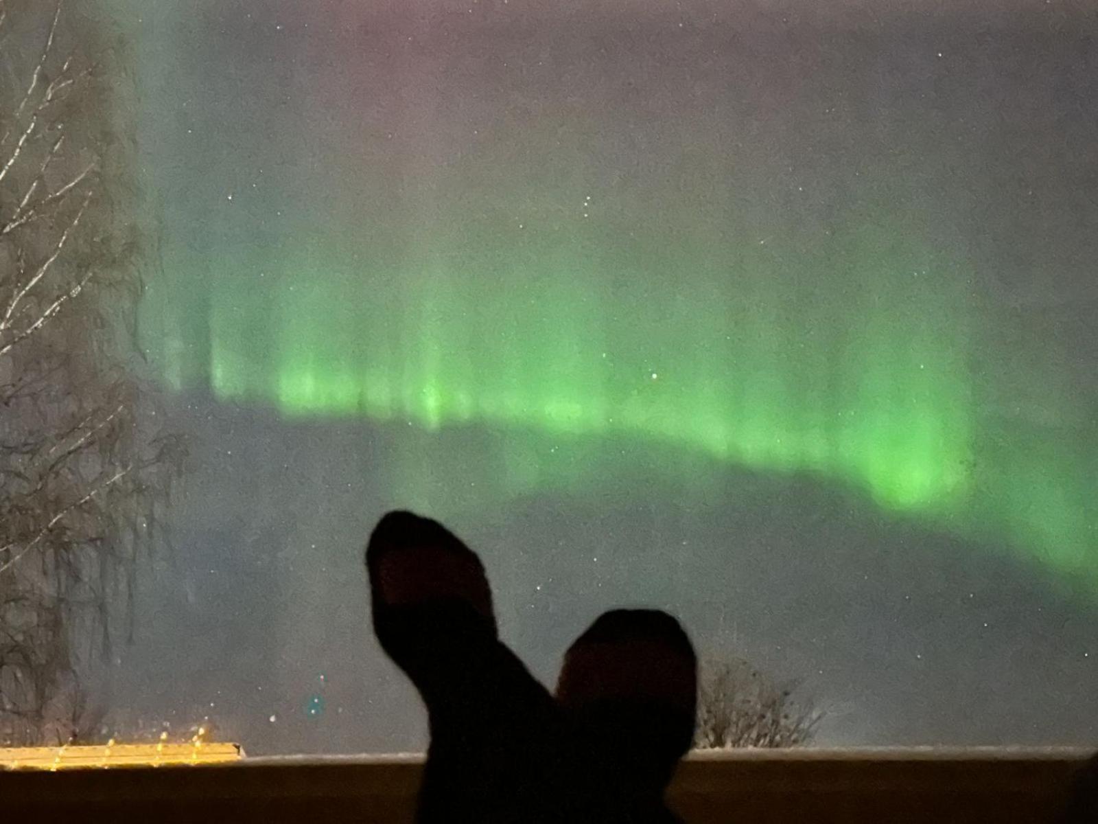 Arctic River Chalet Rovaniemi Bagian luar foto